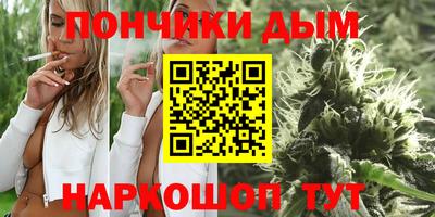 прущие грибы Обнинск