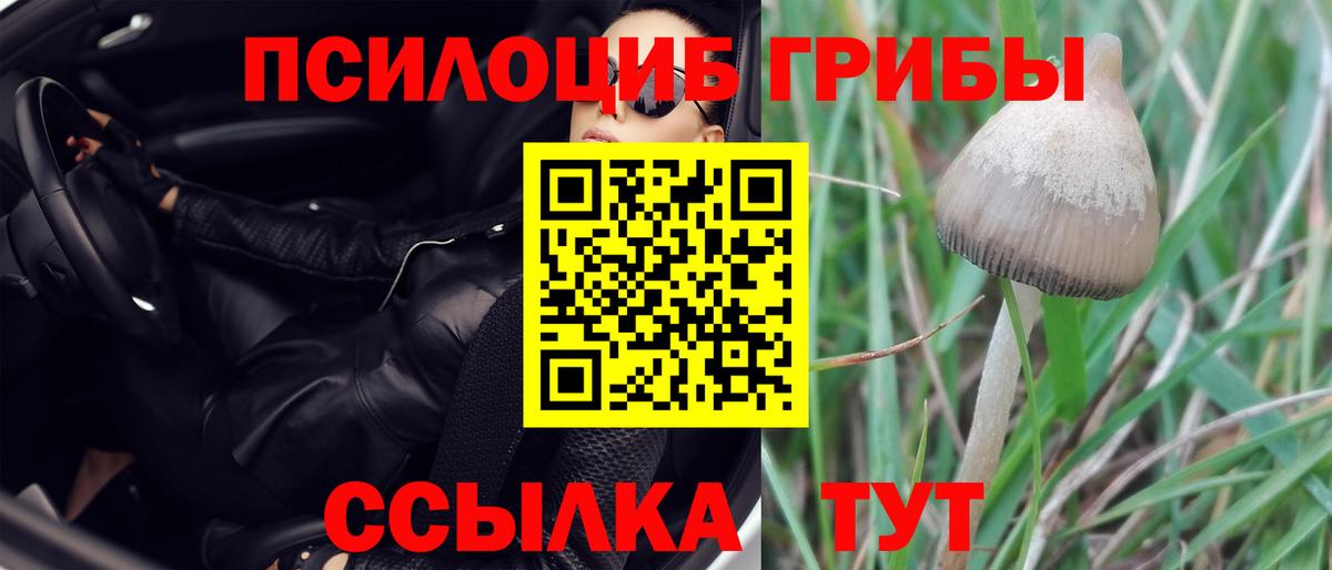 Галлюциногенные грибы ЛСД Тула